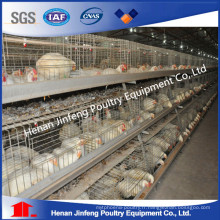 Équipement agricole de volaille / Cage de poulet en couche / Cage de poulet à poulet